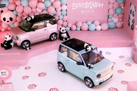 Geometry Panda Mini EV 