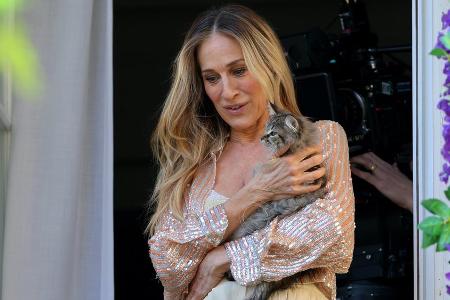Sarah Jessica Parker adoptierte die Katze von Carrie Bradshaw Sarah Jessica Parker adoptierte die Katze von Carrie Bradshaw
