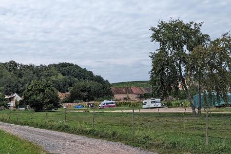 Elsass, Stellplatz, Weingut