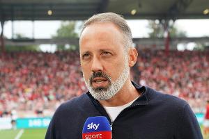 Matarazzo will Hype um Beier nicht befeuern