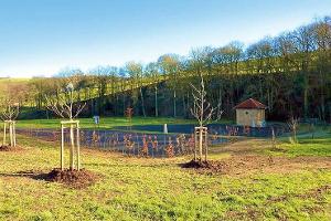 Grüner Platz beim Wasserhaus