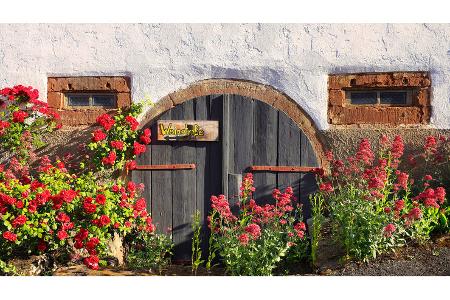 Pfalz Reise f