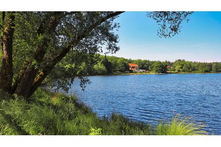 Pfalz Reise f
