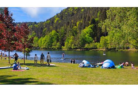 Pfalz Reise f