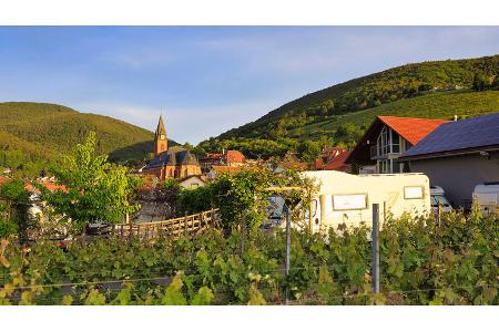 Pfalz Reise f