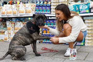 Laura Wontorra: Ihr Hund Milo bedeutet für sie Ruhe und Halt