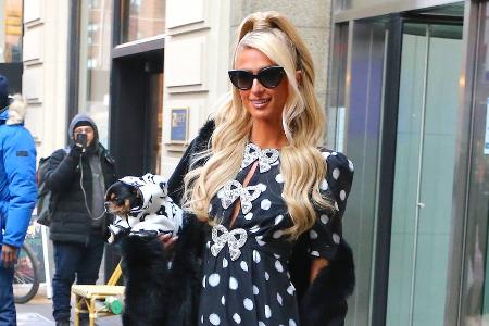 Paris Hilton und mehr: So kreativ sind Promis bei ihren Haustiernamen Paris Hilton und mehr: So kreativ sind Promis bei ihren Haustiernamen