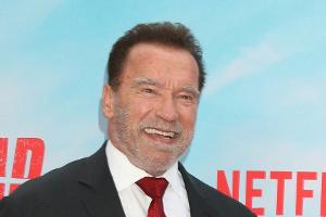 Wiener Wachs-Arnie auf dem Drahtesel enthüllt