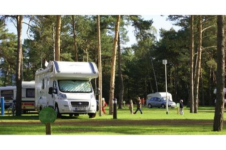 Stellplatz Tropical Island, Wiese, Bäume, Wohnmobil