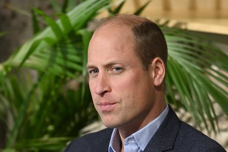 Auftritt in Kindersendung: Prinz William erhält besonderen Preis Auftritt in Kindersendung: Prinz William erhält besonderen Preis