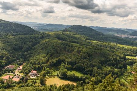 Frage 5: Welches ist das waldreichste Bundesland? (Prozentanteil)