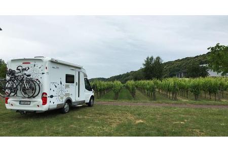 Stellplatz am Weingut Hitziger