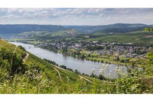 Top-15-Stellplätze an Weingütern