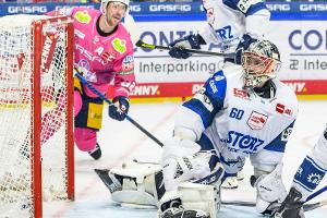 Eisbären festigen Tabellenführung - München siegt erneut