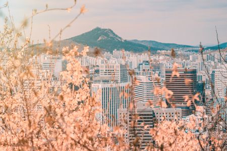 Seoul