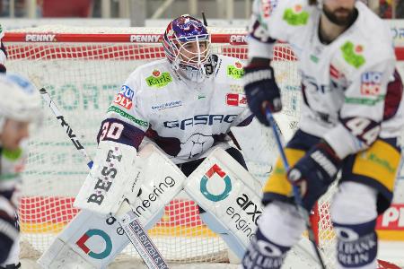Eisbären Berlin wieder siegreich - Straubing hält Anschluss Eisbären Berlin wieder siegreich - Straubing hält Anschluss