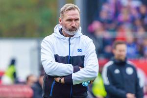 Kieler Störche stoppen HSV-Erfolgsserie