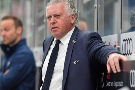 DEL: Shedden neuer Headcoach in Iserlohn DEL: Shedden neuer Headcoach in Iserlohn