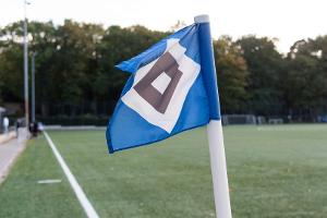 Knapp acht Millionen: HSV macht erneut Gewinn