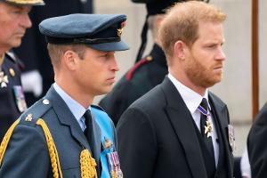 William und Harry: Wut hinter den Palastmauern