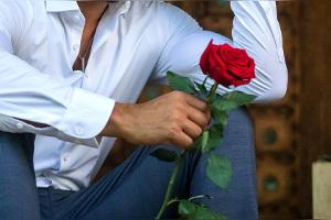 "Der Bachelor": RTL schickt 2024 zwei Junggesellen ins Duell