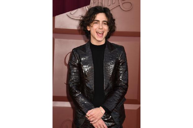 Der ganz große Star-Auftrieb war es zwar nicht am Sonntagabend in Los Angeles, doch die meisten interessierten sich bei der US-Premiere von 'Wonka'...