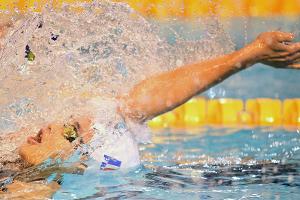 Schwimm-EM 2024 findet in Serbien statt
