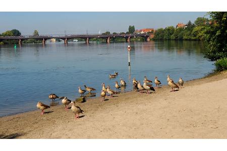 Stellplatz Nordbaden