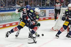 DEL: Eisbären zurück an der Spitze