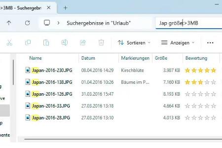 Durch die Verwendung von Suchoptionen können Sie beispielsweise die Ergebnisse auf Dateien mit einer bestimmten Größe oder benutzerdefinierten Eigenschaften einschränken.