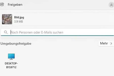 Nach Aktivierung der Teilen-Funktion unter Windows kann eine Datei auf ein anderes Gerät übertragen werden. Der Zielrechner ist im Abschnitt „Umgebungsfreigabe“ sichtbar.