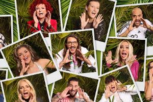 Wie gefährlich wird das RTL-Dschungelcamp für die Promis?