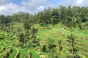 Sorge auf Bali: Indonesien erhöht die Vergnügungssteuer 
