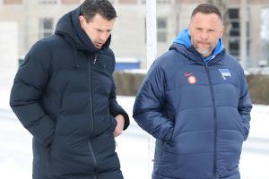 Dardai nach Bernstein-Tod: "Hat alle schwer getroffen"