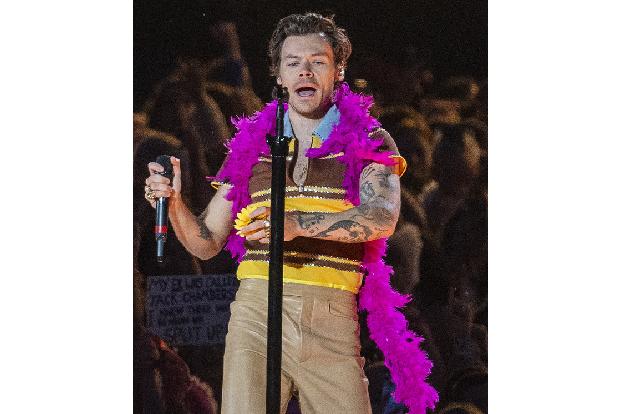 Er ist zurzeit wohl der größte Name unter den männlichen Solo-Künstlern: Am 1. Februar feiert Harry Styles seinen 30 Geburtstag. Mit gerade einmal drei Lebensjahrzehnten hat der Sänger und Schauspieler…