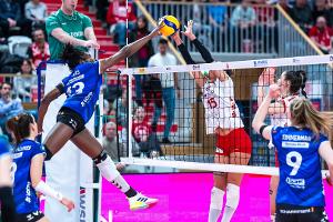 Volleyball: Punktabzüge für Potsdam, Wiesbaden und Suhl
