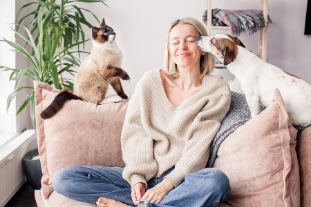 Hund und Katze