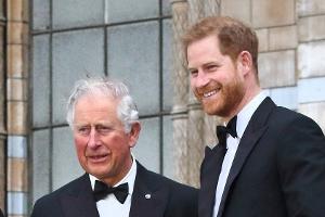 Nach Blitzbesuch bei König Charles: Prinz Harry wieder auf Heimreise