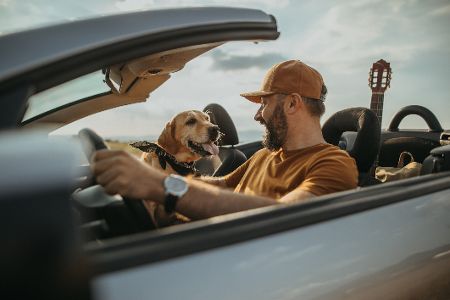 Vom Hund als Beifahrer bis Sprachnachrichten: Diese Dinge sind beim Autofahren verboten Vom Hund als Beifahrer bis Sprachnachrichten: Diese Dinge sind beim Autofahren verboten