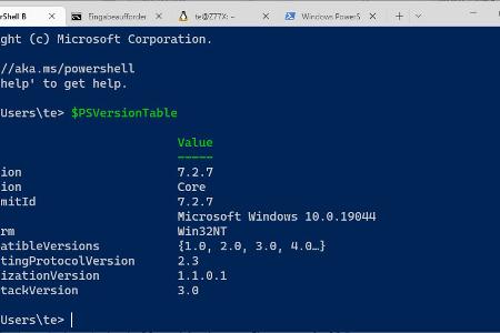 Im Windows-Terminal lassen sich Powershell, Eingabeaufforderung und Bash-Shell (WSL2) nebeneinander in Registerkarten starten.