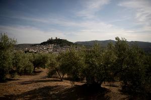 Bauernproteste: Andalusien-Rundfahrt kürzer