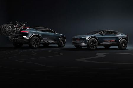 Audi Activesphere