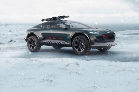 Audi Activesphere