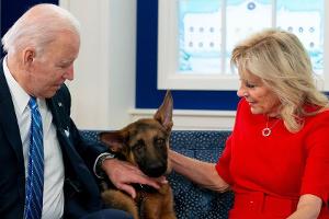 Nach Beißattacken: Joe und Jill Biden haben Hund Commander weggegeben