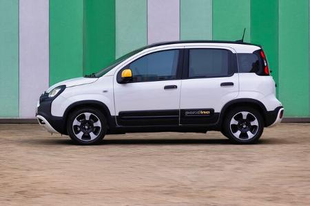 Fiat Panda / Pandina Praesentation 02/24