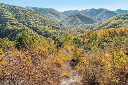 Landschaft, Panorama, Wald, Hügel, Herbst, Himmel