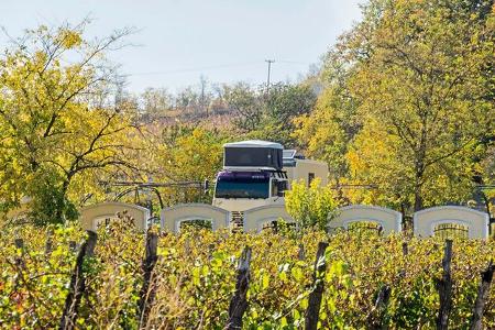 Bäume, Zaun, Campingvan, Herbst