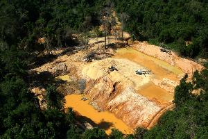 Goldschürfer zerstören vier Fußballfelder Regenwald am Tag