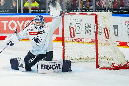 Dauerbrenner Garteig verlängert Ingolstädter Saison Dauerbrenner Garteig verlängert Ingolstädter Saison