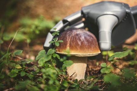 Roboterhand greift nach Pilz im Wald Roboterhand greift nach Pilz im Wald